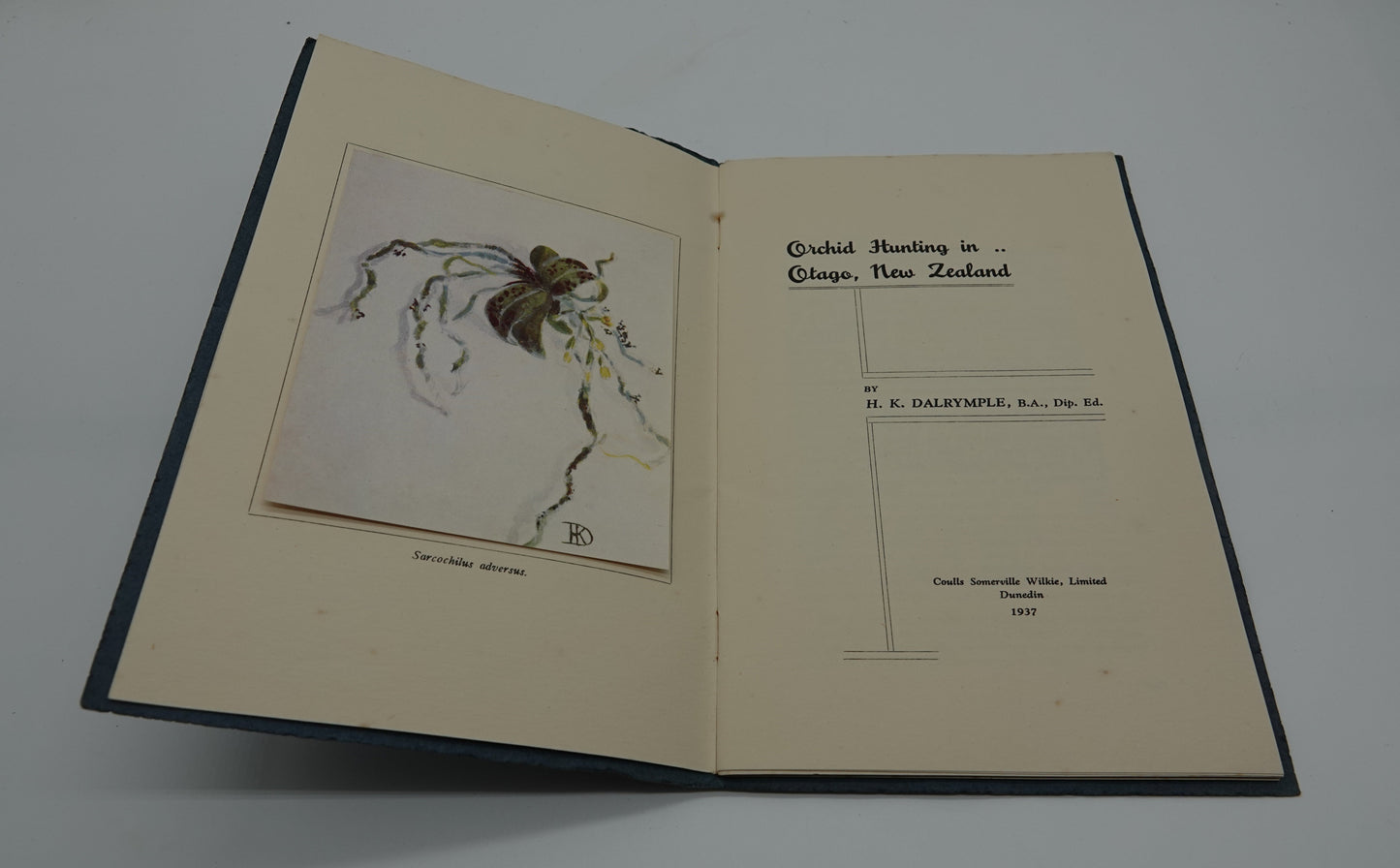 A lovely artefact celebrating the beauty of our native orchids and the talent of our pioneering female scientists