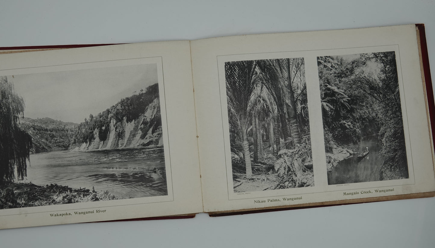 A rare relic of early New Zealand tourism...