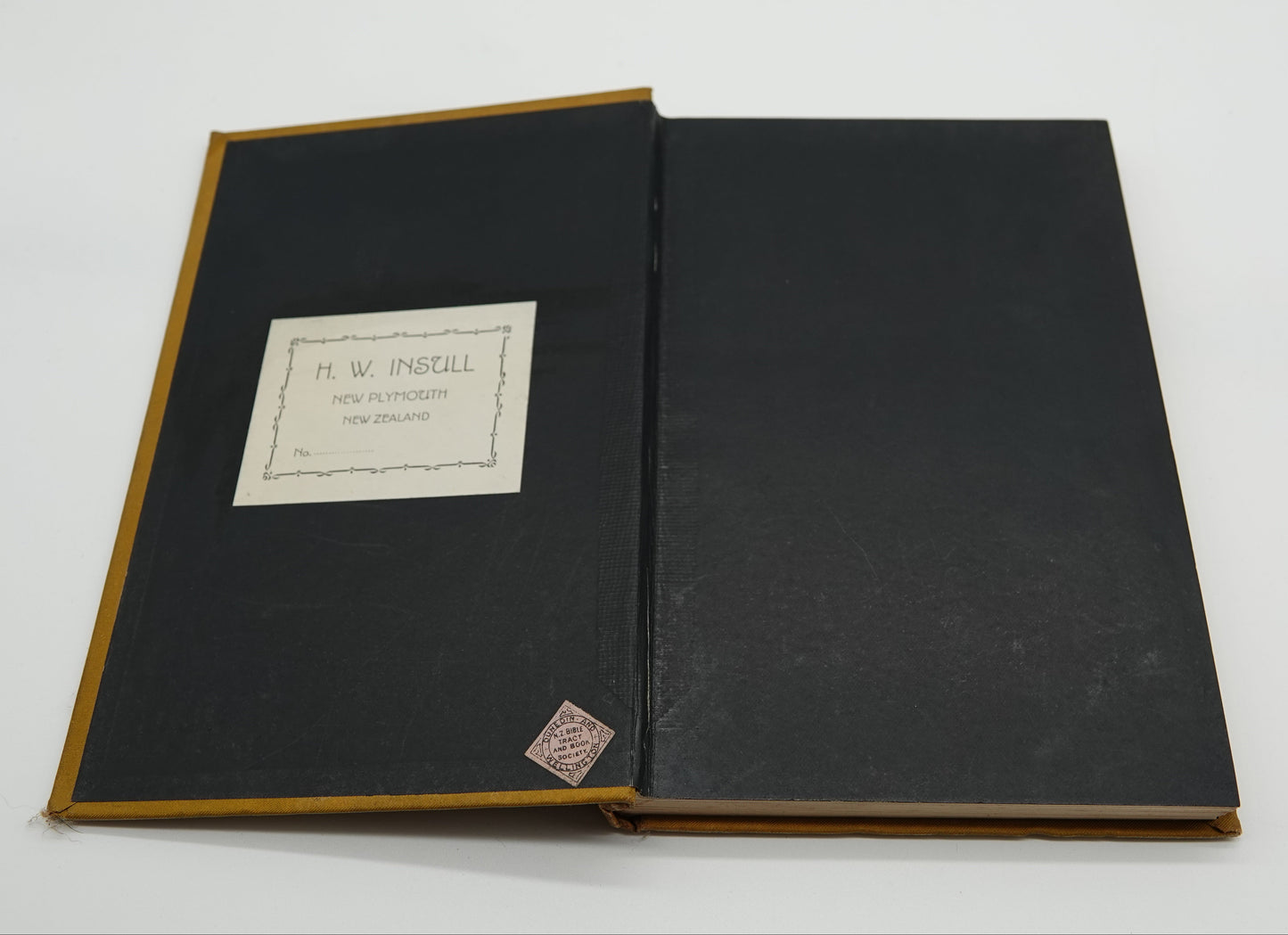 Memoir of Edwin Bainbridge - a fascinating biographical account of a casualty of the Tarawera eruption