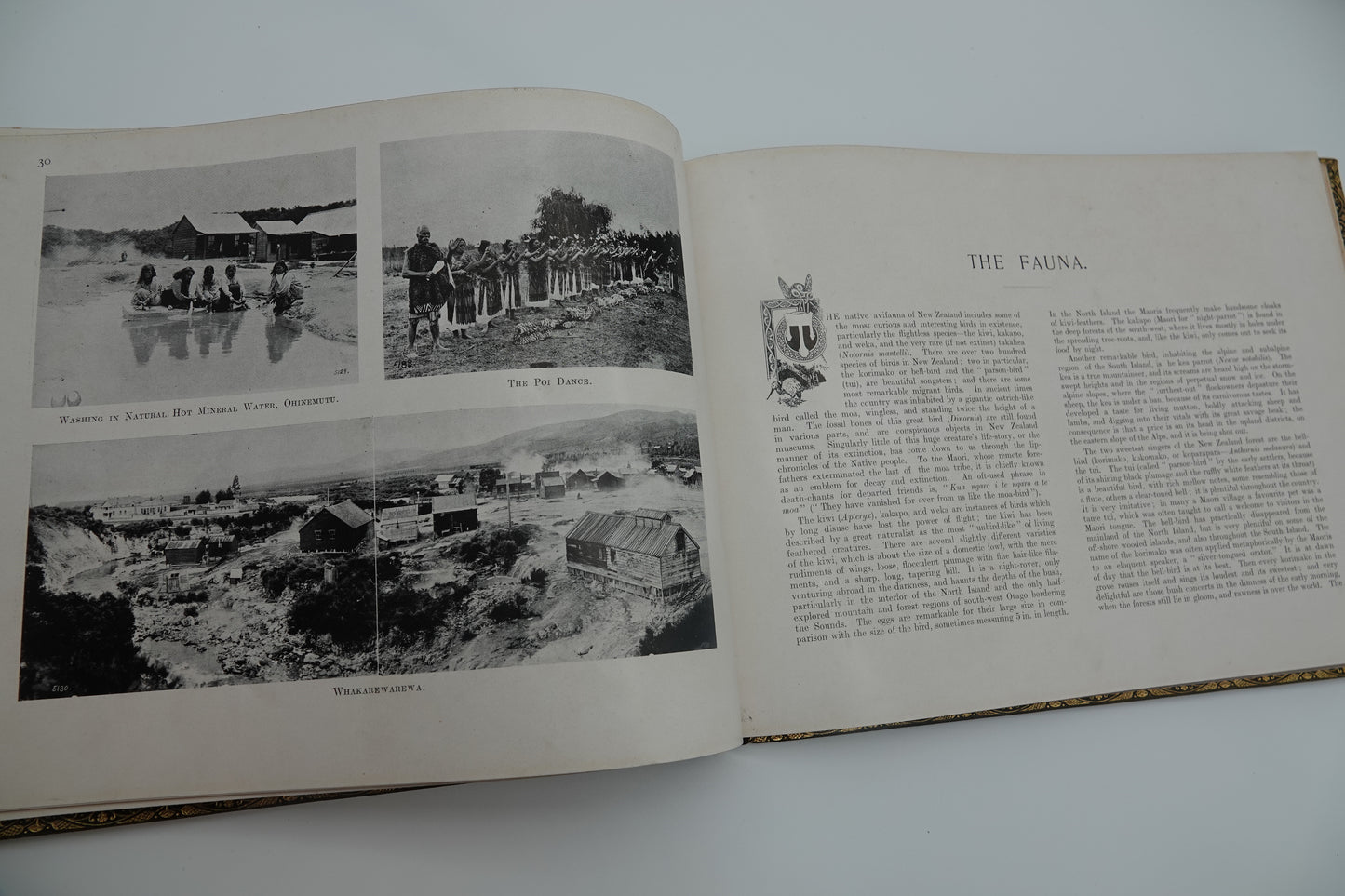 The Dominion of New Zealand - its Characteristcs, Resources and Scenery