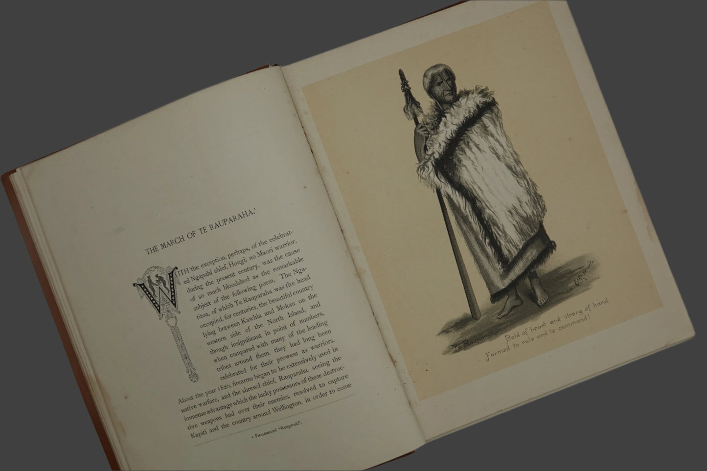 Musings in Maori Land - A Jubilee Volume