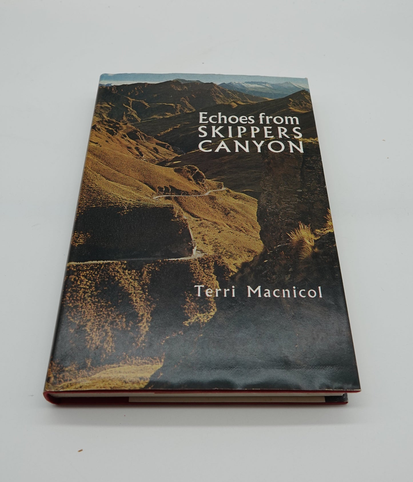 Echoes from Skippers Canyon by Terri Macnicol