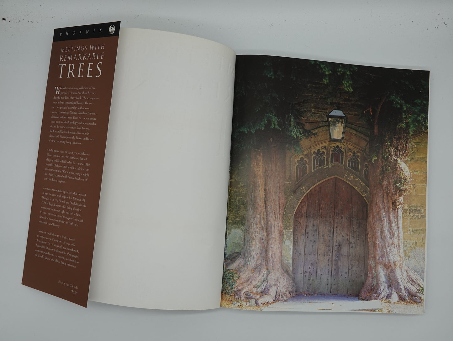 Meetings with Remarkable Trees, by Thomas Pakenham