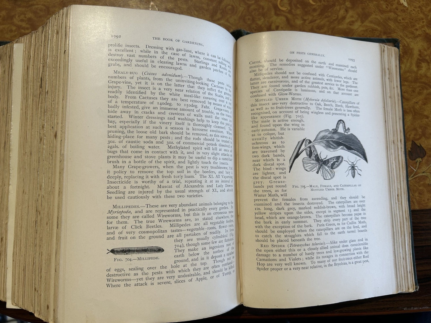 A scarce classic... The Book of Gardening - A handbook of horticulture, first edition 1900