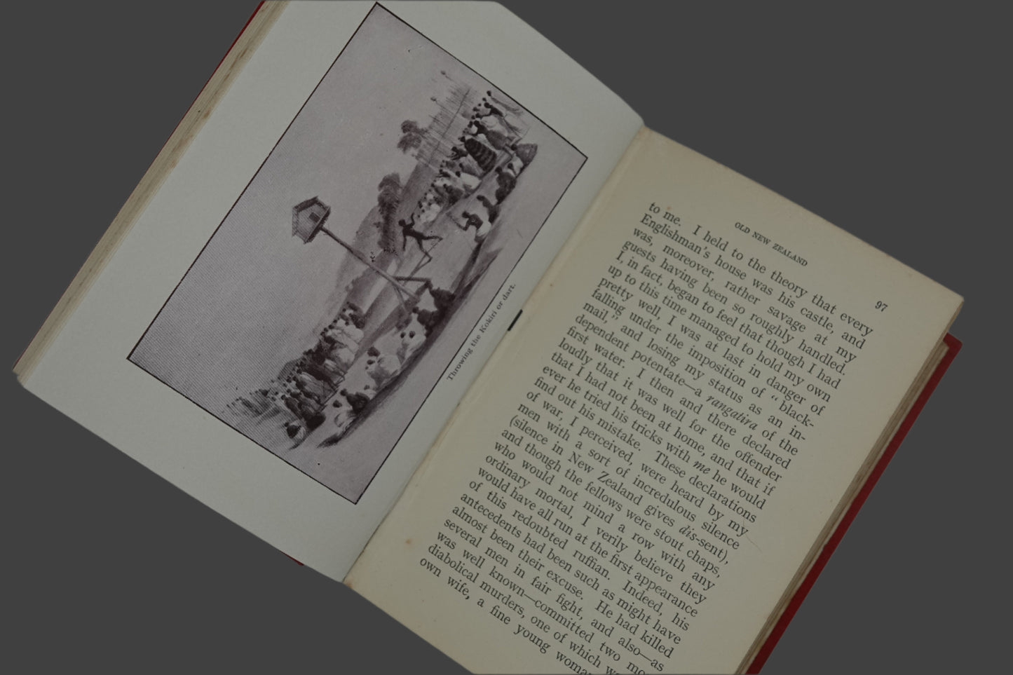 Old New Zealand by a Pakeha Maori