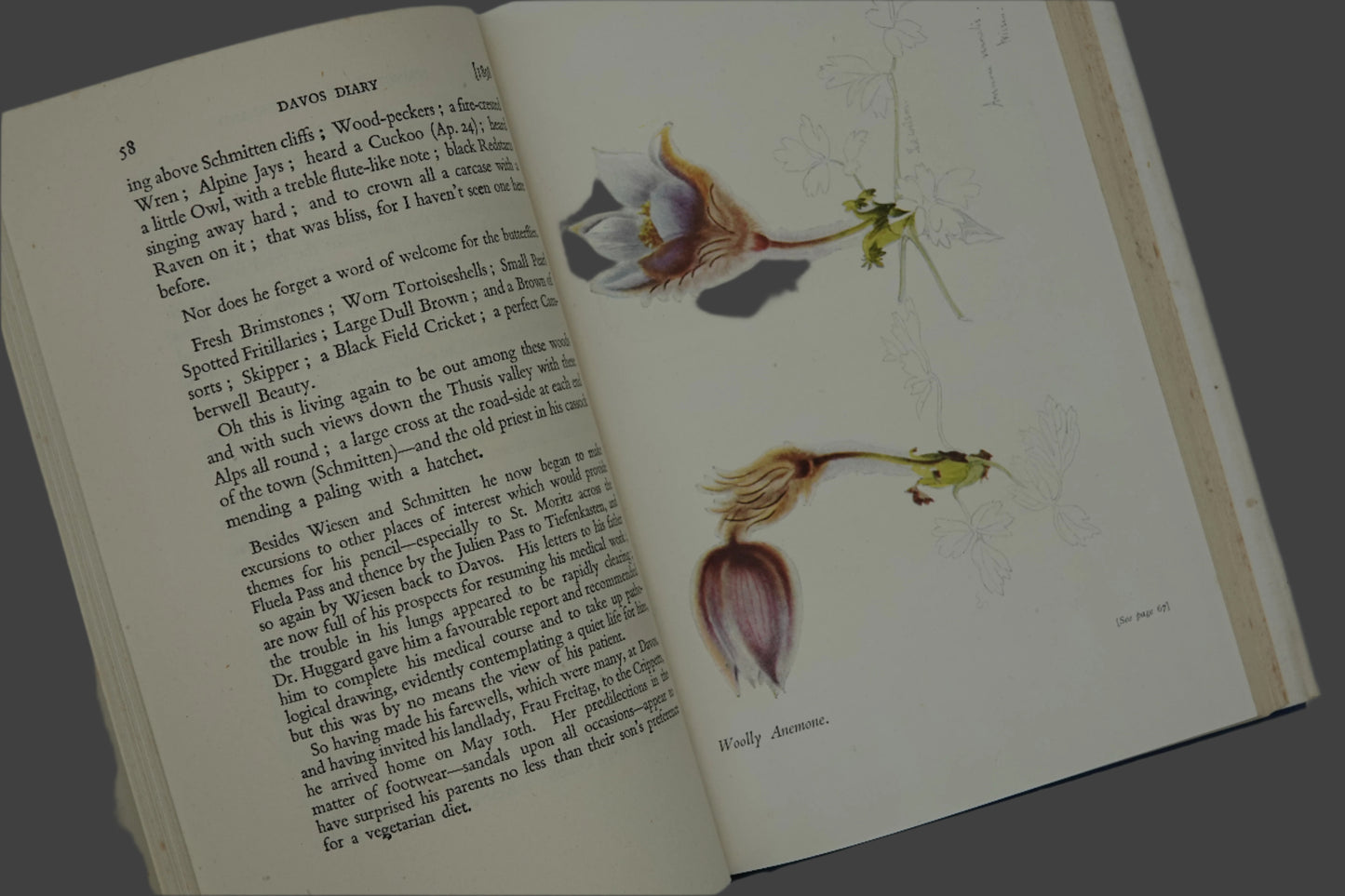 Edward Wilson Nature Lover