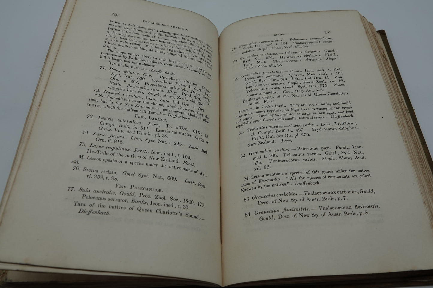 Travels In New Zealand (2 Volumes)