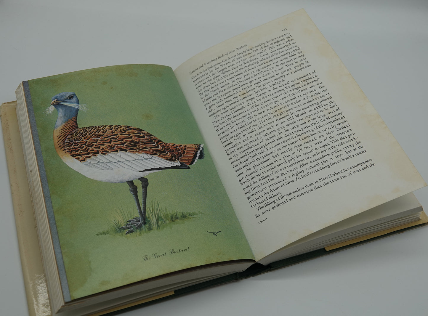 Vanishing BIRDS - Their Natural History and Conservation