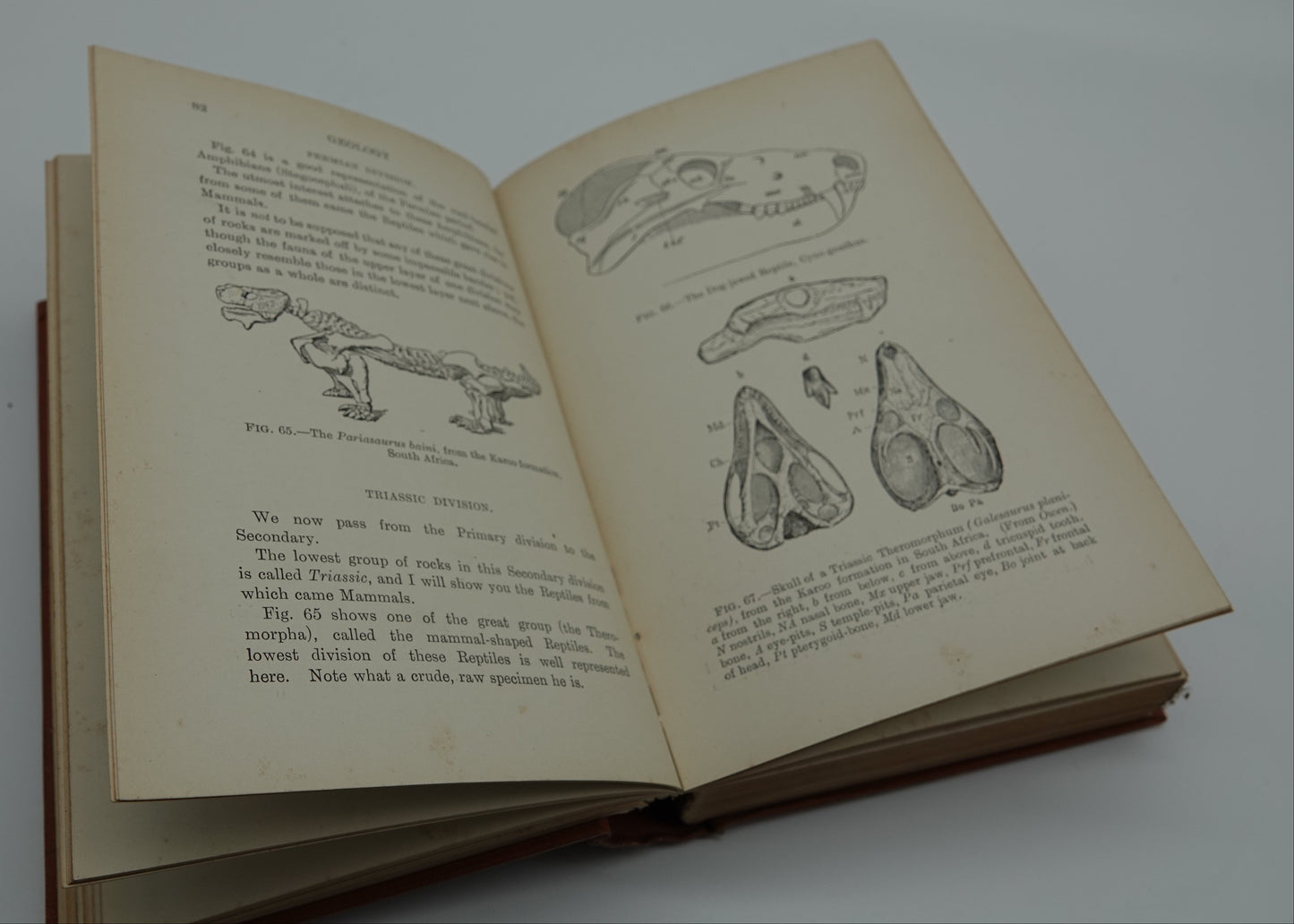 A Picture Book of Evolution, 1920
