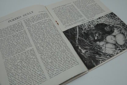 Vintage Forest and Bird Quarterly Magazines