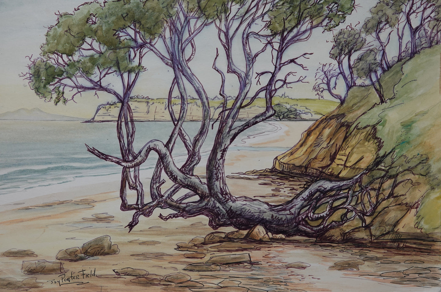 Auckland landscape art by Joy Porterfield