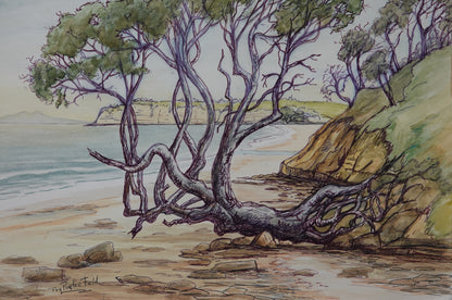 Auckland landscape art by Joy Porterfield