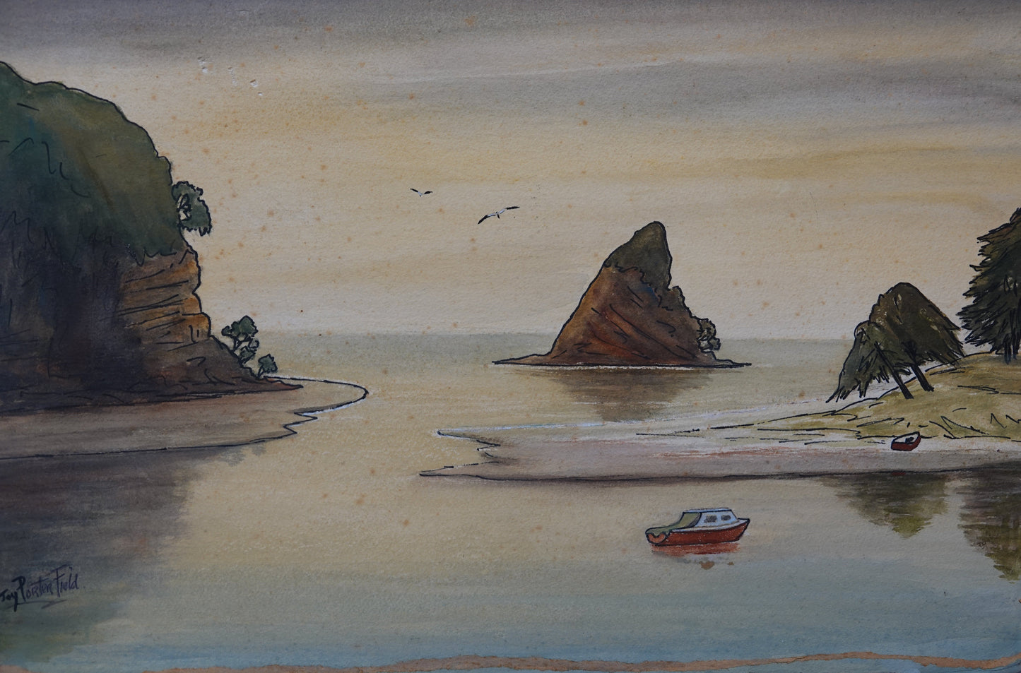 Auckland landscape art by Joy Porterfield