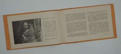 Stunning and rare early New Zealand tourist souvenir... Strange Tales of Maori Myth and Mystery