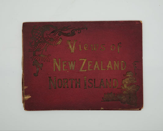 A rare relic of early New Zealand tourism...