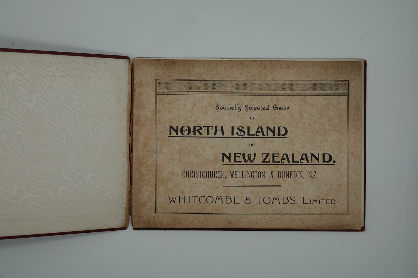 A rare relic of early New Zealand tourism...