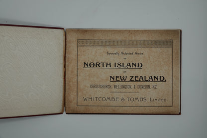 A rare relic of early New Zealand tourism...
