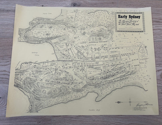an unusual hand drawn map illustrating Early Sydney circa 1802-1809