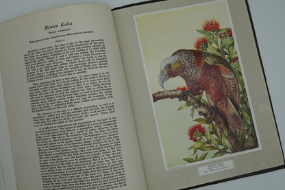 New Zealand Forest-Inhabiting Birds - a Forest & Bird Protection Society publication from 1948