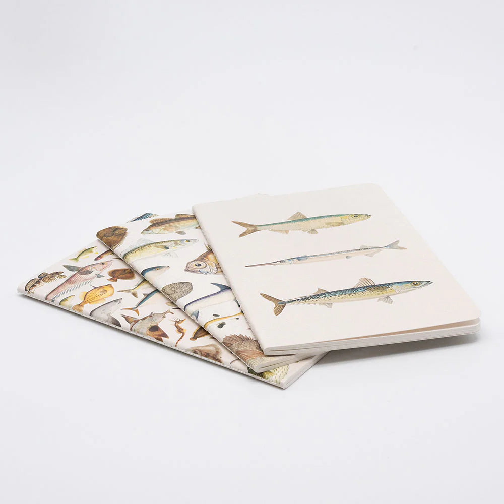 Fishes of NZ Notebook Set