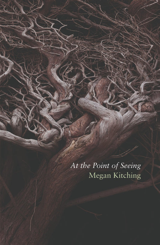 At the Point of Seeing