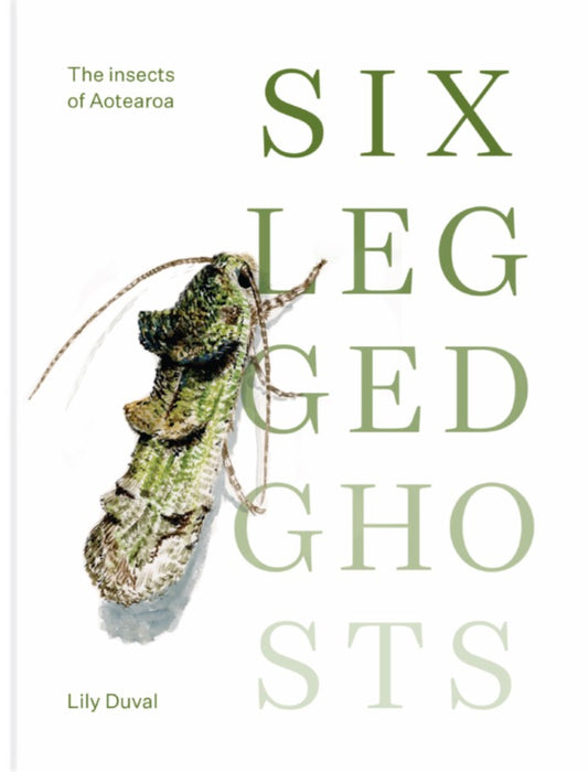 Six Legged Ghosts The Insects of Aotearoa