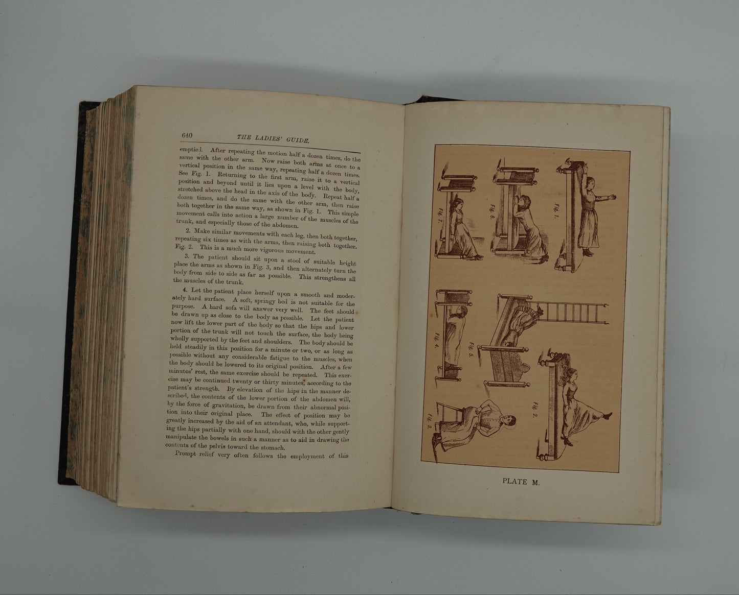 A first edition medical treasure.... Ladies Guide in Health and Disease” by J H Kellogg