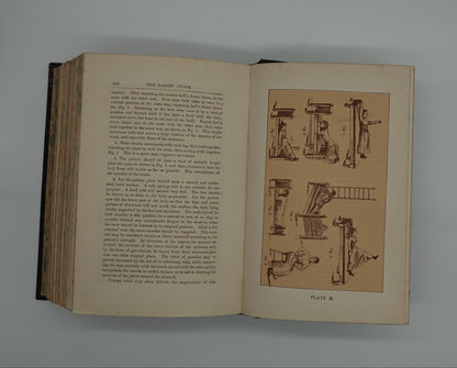 A first edition medical treasure.... Ladies Guide in Health and Disease” by J H Kellogg