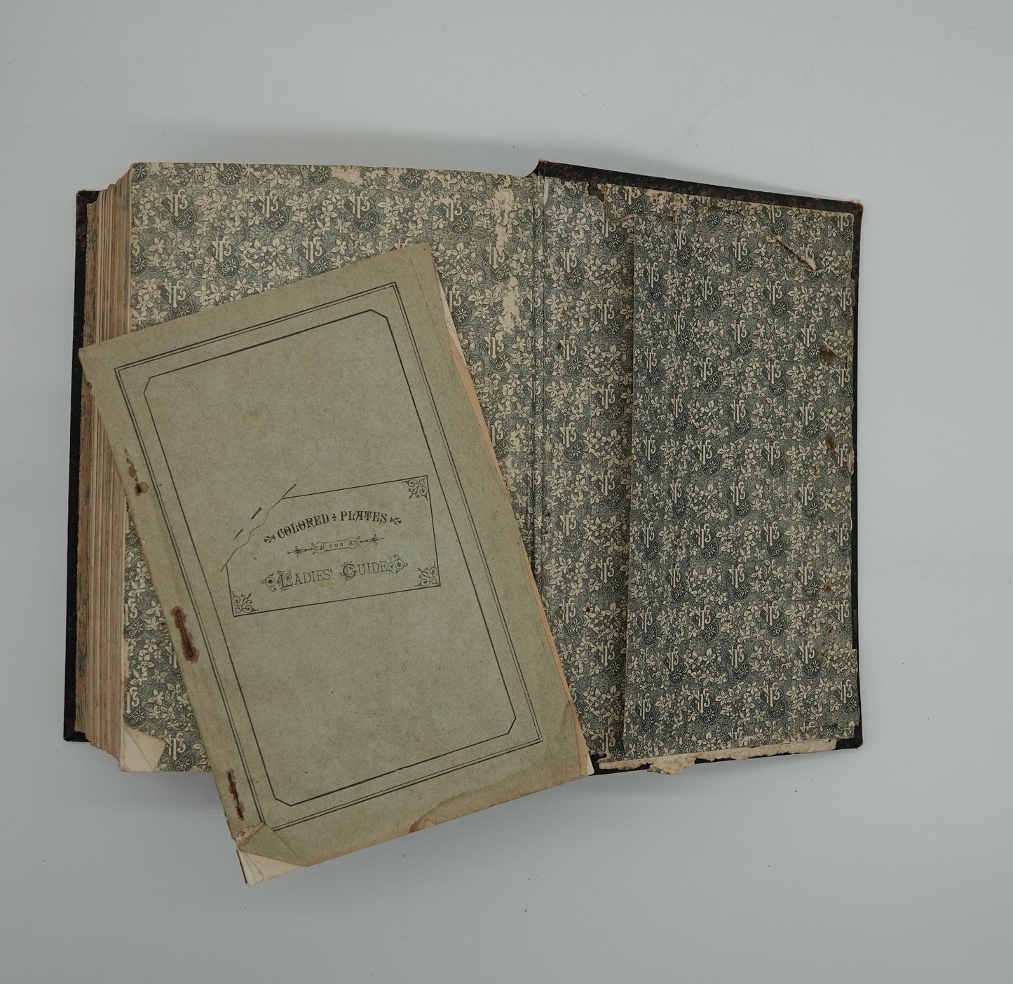 A first edition medical treasure.... Ladies Guide in Health and Disease” by J H Kellogg
