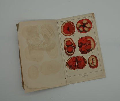 A first edition medical treasure.... Ladies Guide in Health and Disease” by J H Kellogg