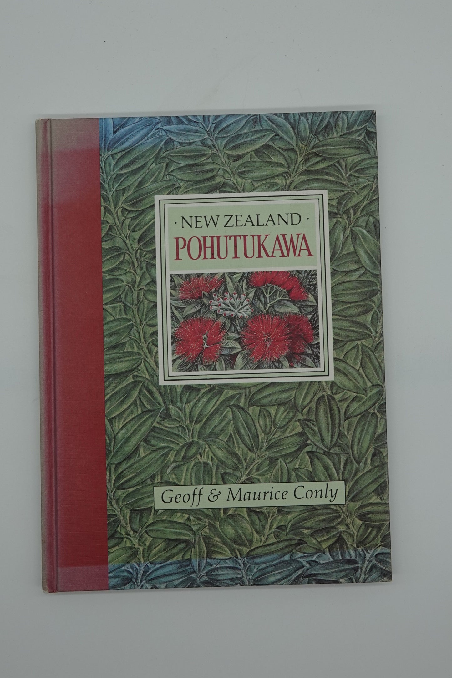 New Zealand Pohutukawa by Geoff & Maurice Conly