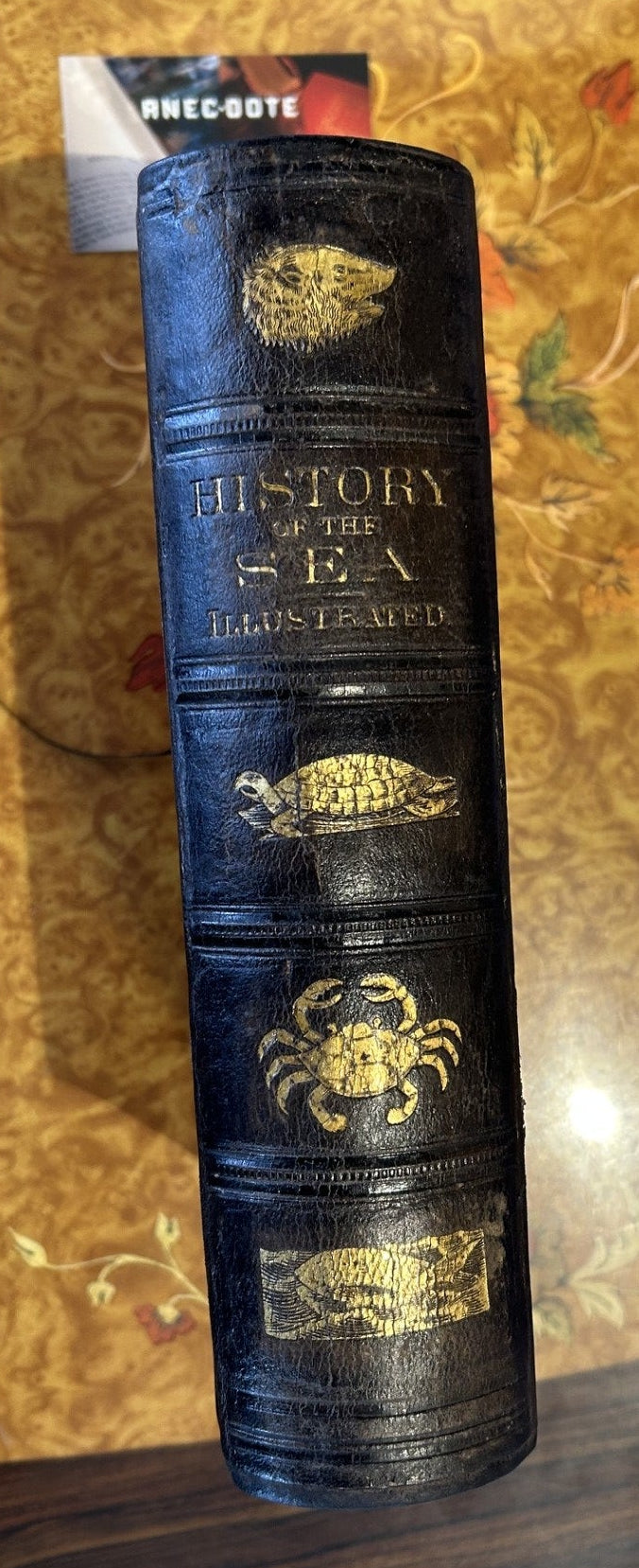 A rare copy of The History of the Sea,  Frank B. Goodrich, 1877