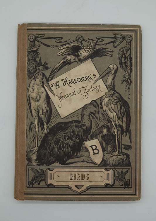 W. Hagelberg's Manual of Zoology, Volume 2 Birds, from 1895 or earlier