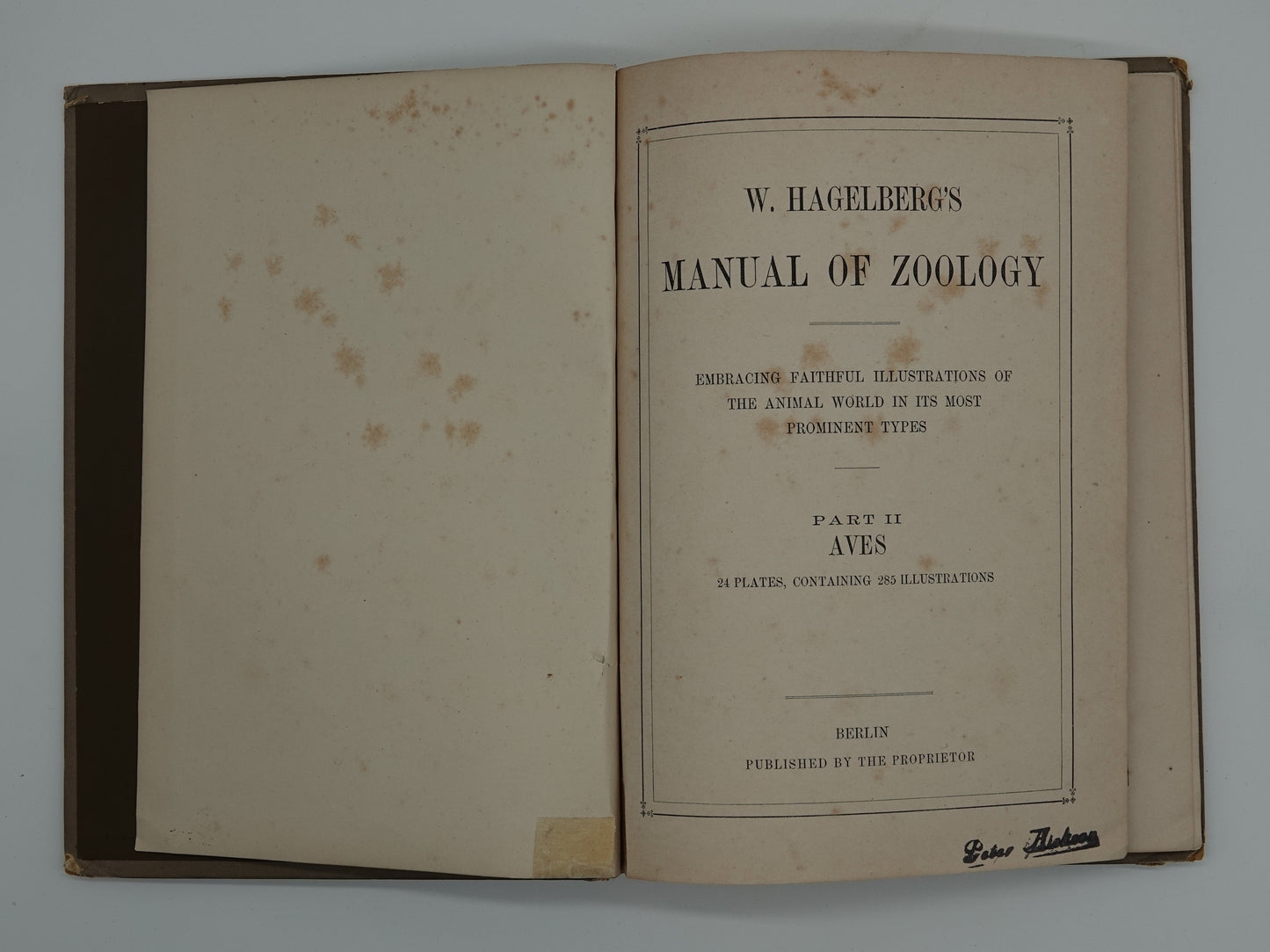 W. Hagelberg's Manual of Zoology, Volume 2 Birds, from 1895 or earlier