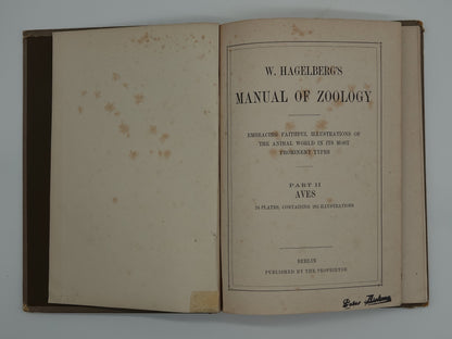 W. Hagelberg's Manual of Zoology, Volume 2 Birds, from 1895 or earlier