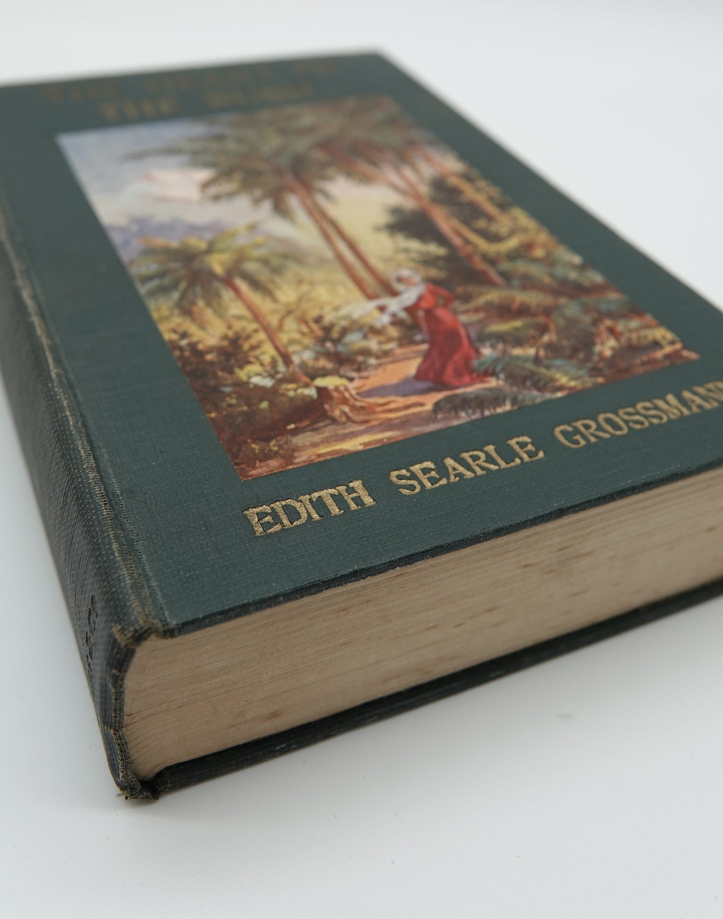 The Heart of the Bush - historical NZ fiction, first edition