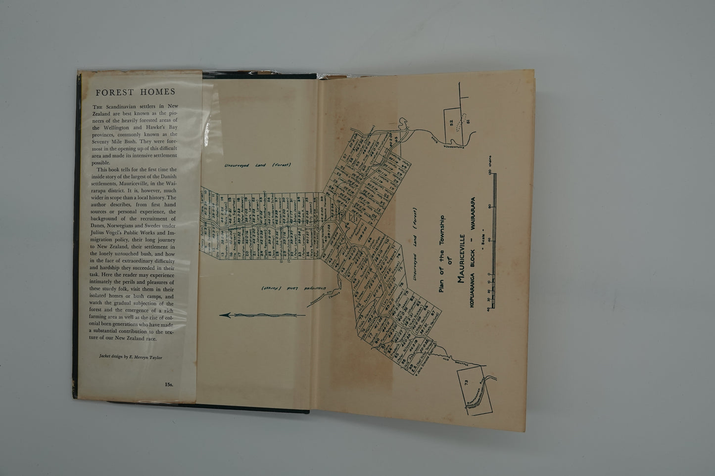 Forest Homes - Scandinavian Settlements in New Zealand
