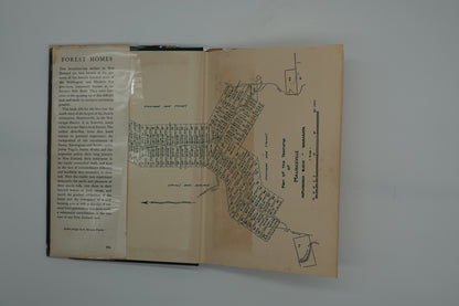 Forest Homes - Scandinavian Settlements in New Zealand