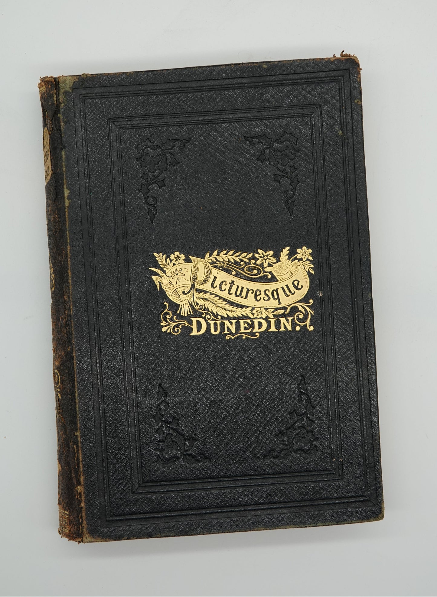 Picturesque Dunedin, a scarce first edition, 1890