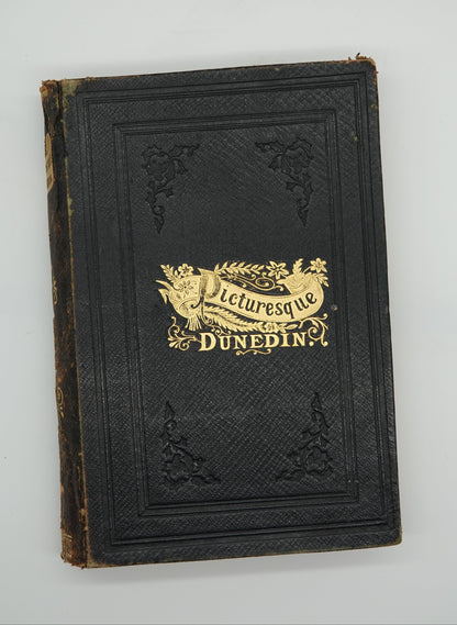 Picturesque Dunedin, a scarce first edition, 1890