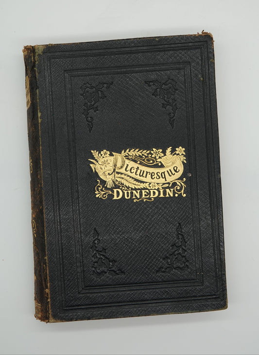 Picturesque Dunedin, a scarce first edition, 1890