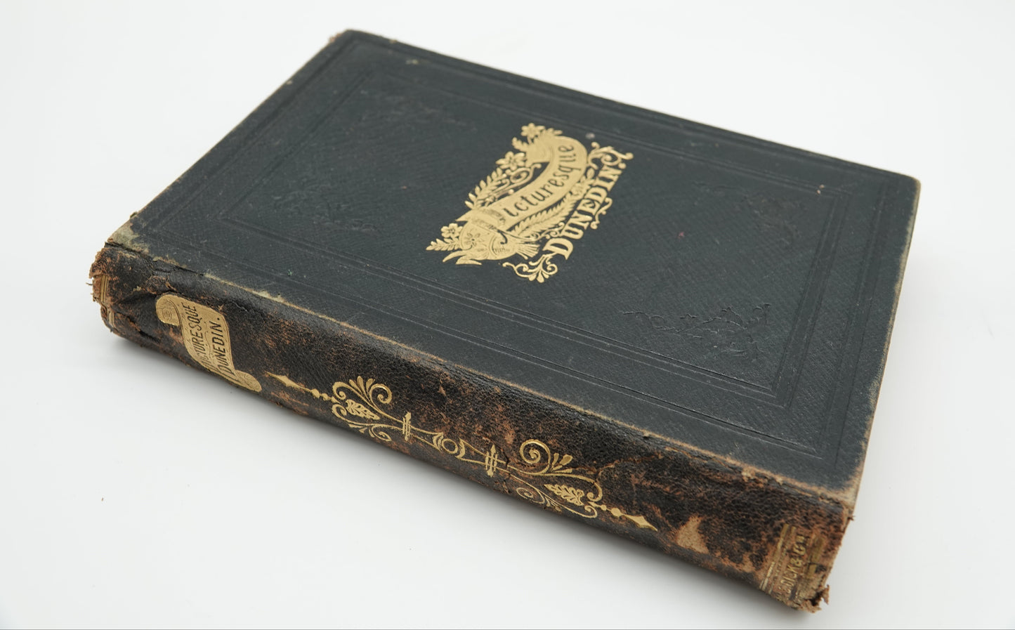 Picturesque Dunedin, a scarce first edition, 1890