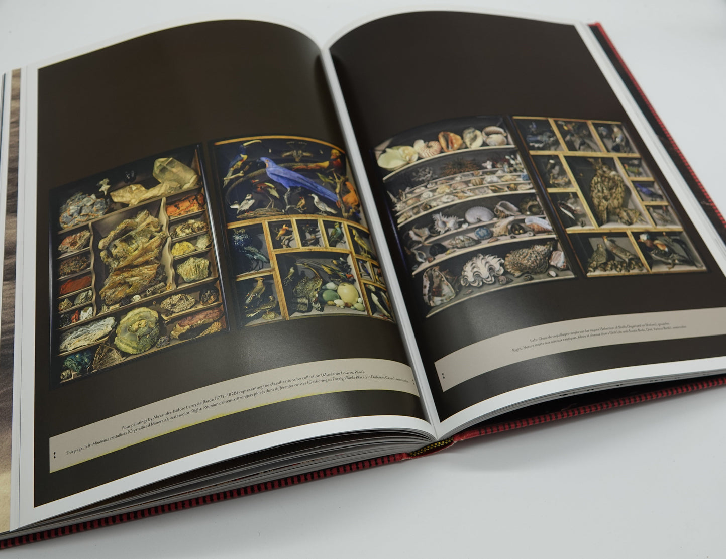 Cabinets of Wonder, a stunning and scarce coffee table book