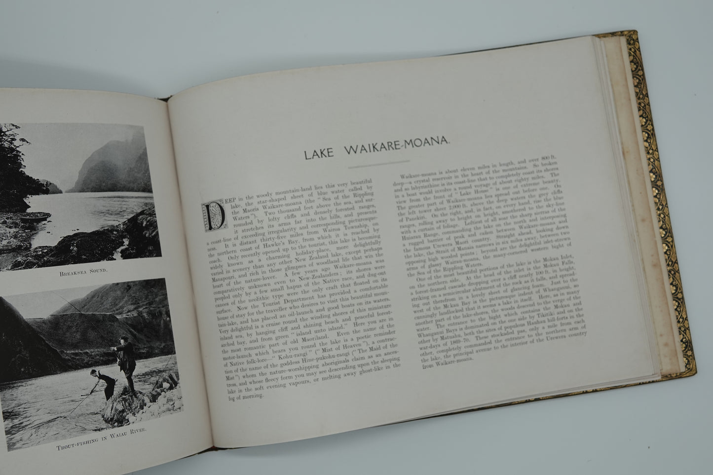 The Dominion of New Zealand - its Characteristcs, Resources and Scenery