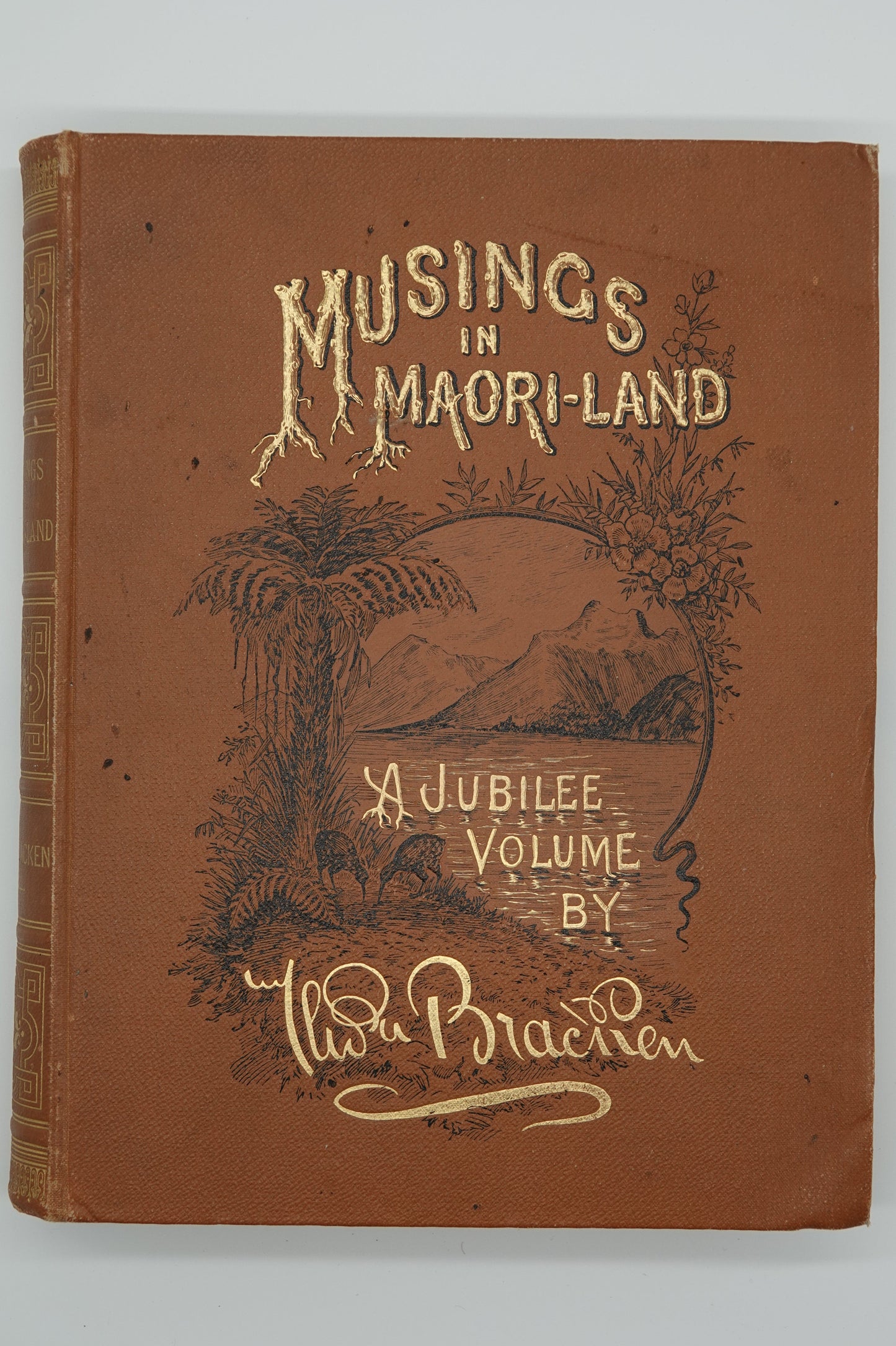 Musings in Maori Land - A Jubilee Volume