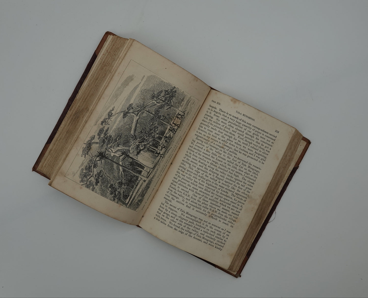 Livingstones South Africa, 1875