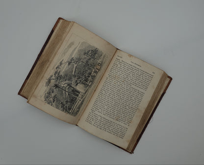 Livingstones South Africa, 1875
