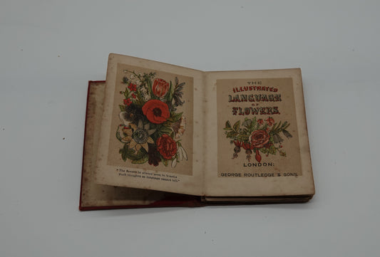 A lovely miniature book... Routledge's Language of Flowers