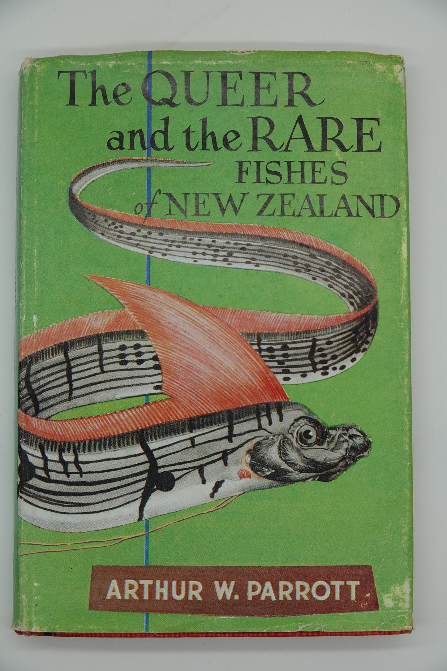 The QUEER and the RARE Fishes of New Zealand