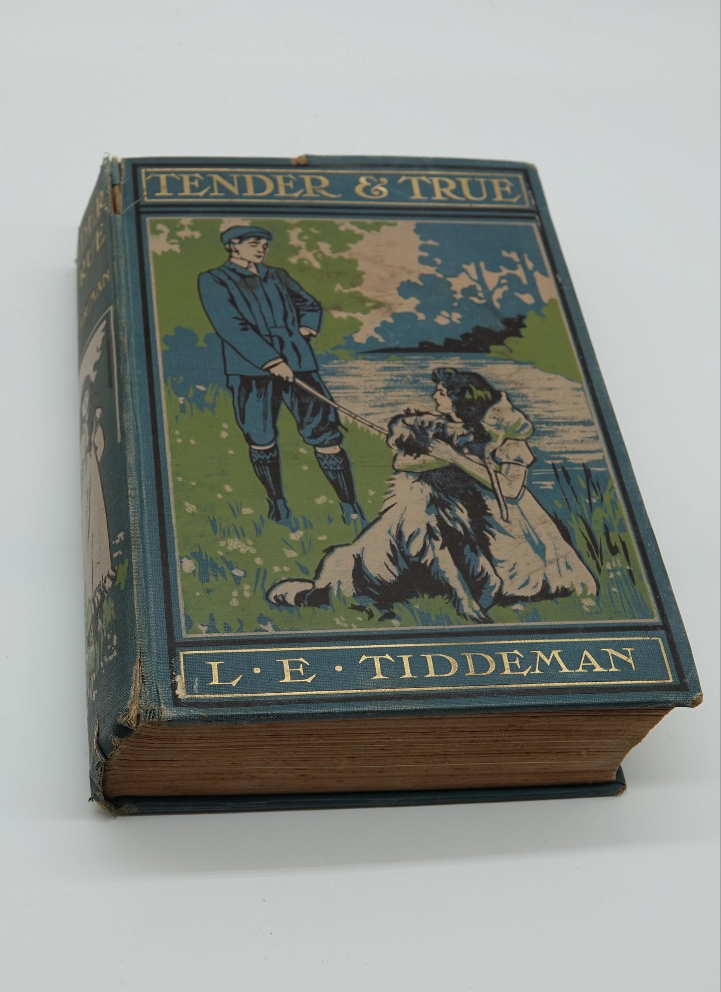 Historic and attractive Children's fiction for the home library...  Tender and True by  L E Tiddeman, circa 1905